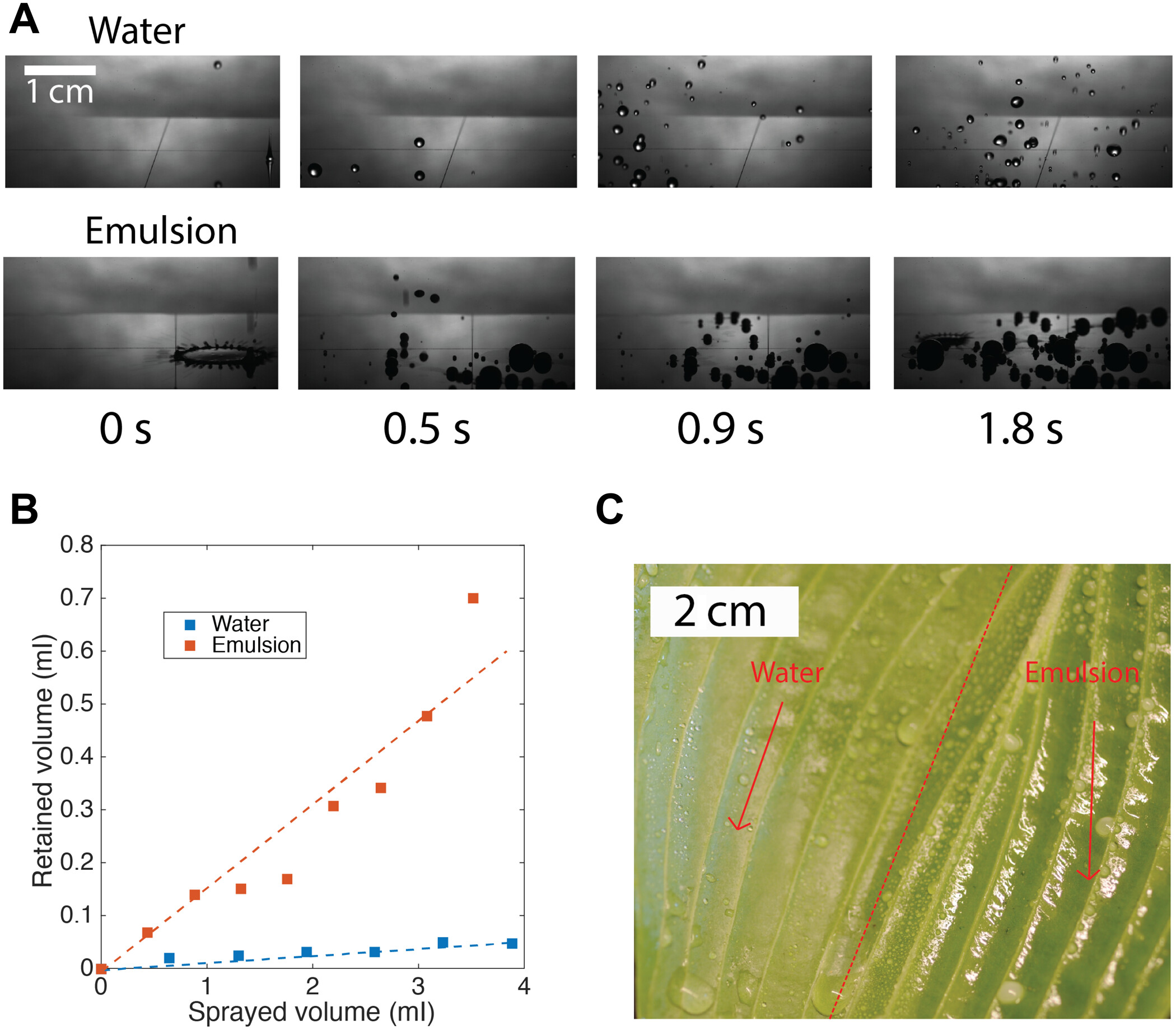 Dynamics of an impacting emulsion droplet thumbnail