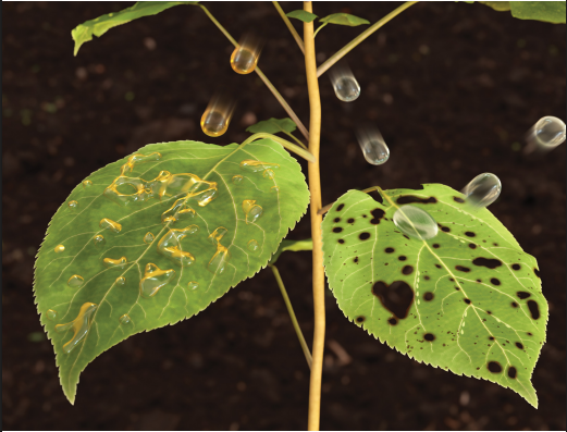 Enhancing spray retention using cloaked droplets to reduce pesticide pollution thumbnail