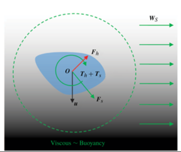 Motion of an arbitrarily shaped particle in a density stratified fluid thumbnail