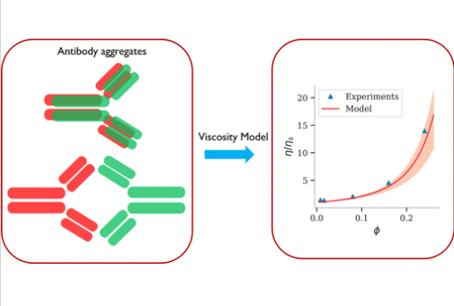 New model to predict the concentration-dependent viscosity of monoclonal antibody solutions thumbnail