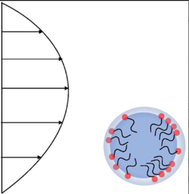 Effect of interfacial viscosities on droplet migration at low surfactant concentrations thumbnail