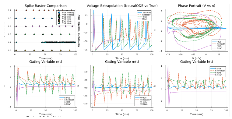 Physics-Informed Neural ODEs with Scale-Aware Residuals for Learning Stiff Biophysical Dynamics thumbnail